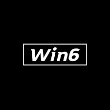 Logo win6